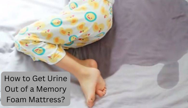 How to Get Urine Out of a Memory Foam Mattress